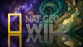 National Geographic Wild HD